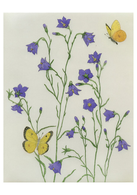 Harebells and Sulphurs Birthday Card - Pack of 6