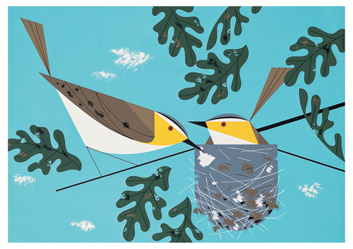 Charley Harper: Red-eyed Vireos Birthday Card - Pack of 6