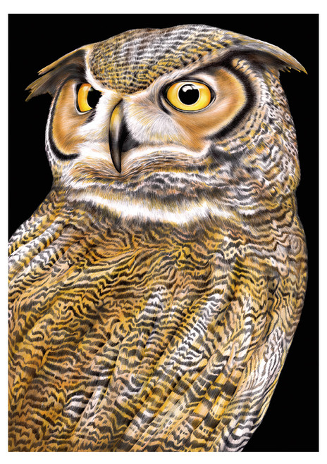 Great Horned Owl Notecard - Pack of 6