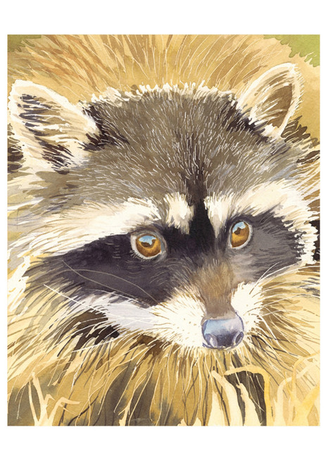 Molly Hashimoto: Raccoon Notecard