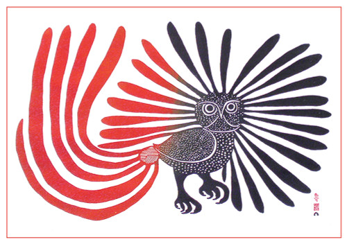 Kenojuak Ashevak: The Enchanted Owl Notecard