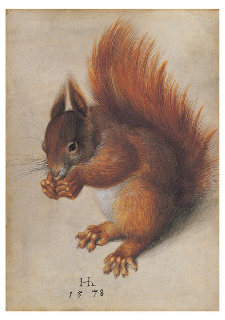 Red Squirrel Notecard