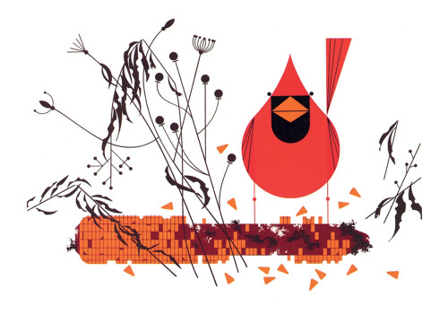 Charley Harper: Red and Fed Notecard