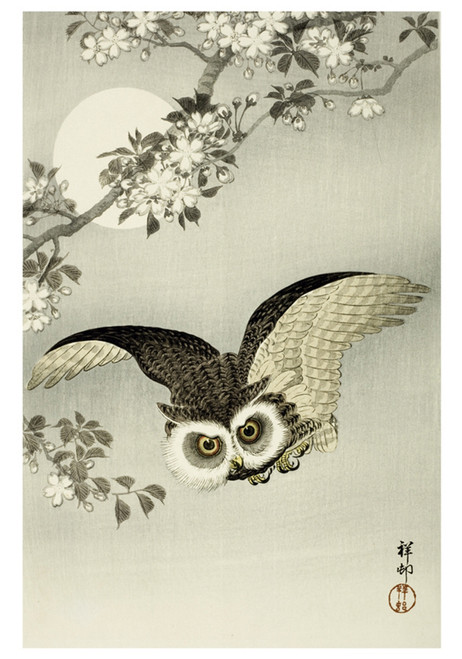 Scops Owl, Cherry Blossoms and Moon Notecard