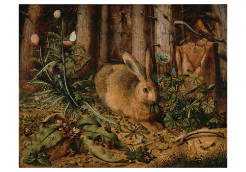 Hans Hoffmann: A Hare in the Forest Notecard