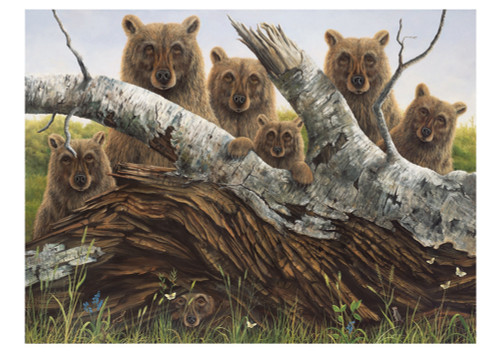 Robert Bissell: The Portrait Notecard