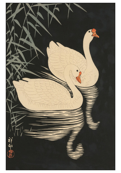 Two Geese Swimming near Reeds at Night Notecard