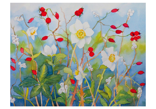 Molly Hashimoto: Hellebore, Rosehips, and Snowberries Notecard