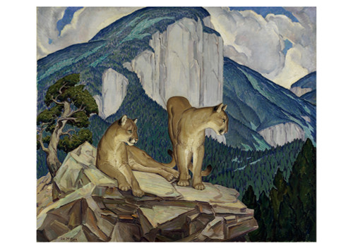 Mountain Lions Notecard - Pack of 6