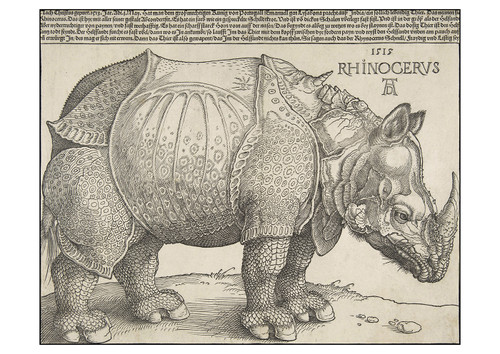 The Rhinoceros Postcard - Pack of 6