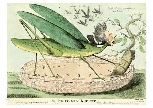 The Political Locust Postcard - Pack of 6