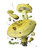 Mushrooms: Alexander Viazmensky Boxed Notecard Assortment