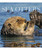 Sea Otters: Photographs by Tom and Pat Leeson 2025 Wall Calendar