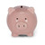 COIN BANK - PIGGY
