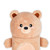 PLUSH PENCIL CASE - TEDDY BEAR