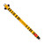 ERASABLE GEL PEN - ERASABLE PEN - BEE