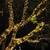 STRING OF LIGHTS INDOORS/OUT - INDOORS AND OUTDOORS STRING LIGHTS