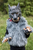 Werewolf Mask