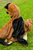 Toddler German Shepherd Dog Cuddle Cape, SIZE US 2-3T