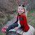 Toddler Little Ladybug Cape, SIZE US 2-3T