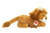 Hermann Teddy Lion lying 30 cm