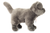 Hermann Teddy Carthusian Cat standing 20 cm