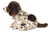 Hermann Teddy German Pointer Puppy 30 cm