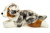 Hermann Teddy Australian Shepherd lying 40 cm