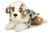 Hermann Teddy Australian Shepherd lying 40 cm