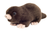 Hermann Teddy Mole 17 cm