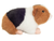 Hermann Teddy Guinea Pig tricolour 19 cm