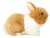 Hermann Teddy Rabbit beige-white  23 cm