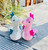 Hermann Teddy Seahorse Alba pink 23 cm