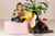 Hermann Teddy Toucan 60 cm