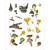 Mushrooms: Alexander Viazmensky Sticker Book