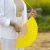 Hand fan Lime