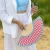 Hand Fan pink vichy