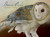 Jeannine Chappell: Barn Owls Boxed Notecards