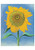 Georgia O'Keeffe: Sunflowers Notecard Folio