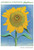 Georgia O'Keeffe: Sunflowers Notecard Folio