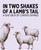 In Two Shakes of a Lamb's Tail: Knowledge Cards - Pack of 1