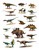 Dinosaurs Sticker Book - Pack of 1