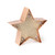 MINI DECORATIVE LIGHT - GOLD ROSE - STAR