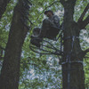 Ranger Traction Climbing Sticks 3-Pack