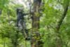 Helium Hammock Apex Platform