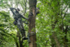 Helium Hammock Apex Platform