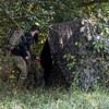 Reveal Ground Blind