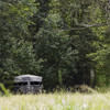 Reveal Ground Blind
