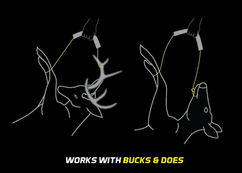 Cinch Deer Drag