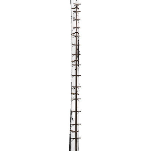 Traction 20' Climbing Stick